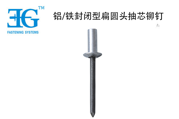 鋁/鐵封閉型扁圓頭抽芯鉚釘